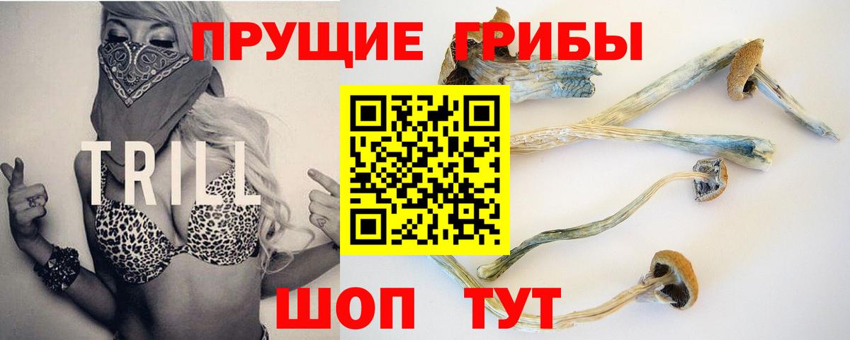 Галлюциногенные грибы ЛСД  Вход с VPN  Кузнецк 